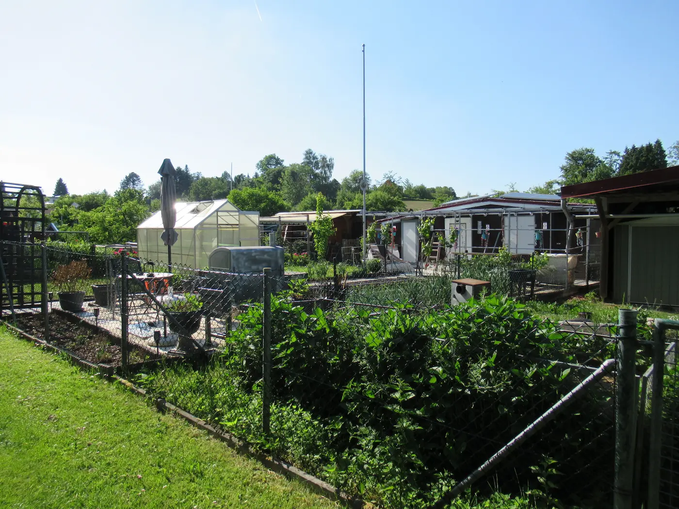 Kleingarten-Gartengrundstück mit Grünfläche – Kleingarten-Service