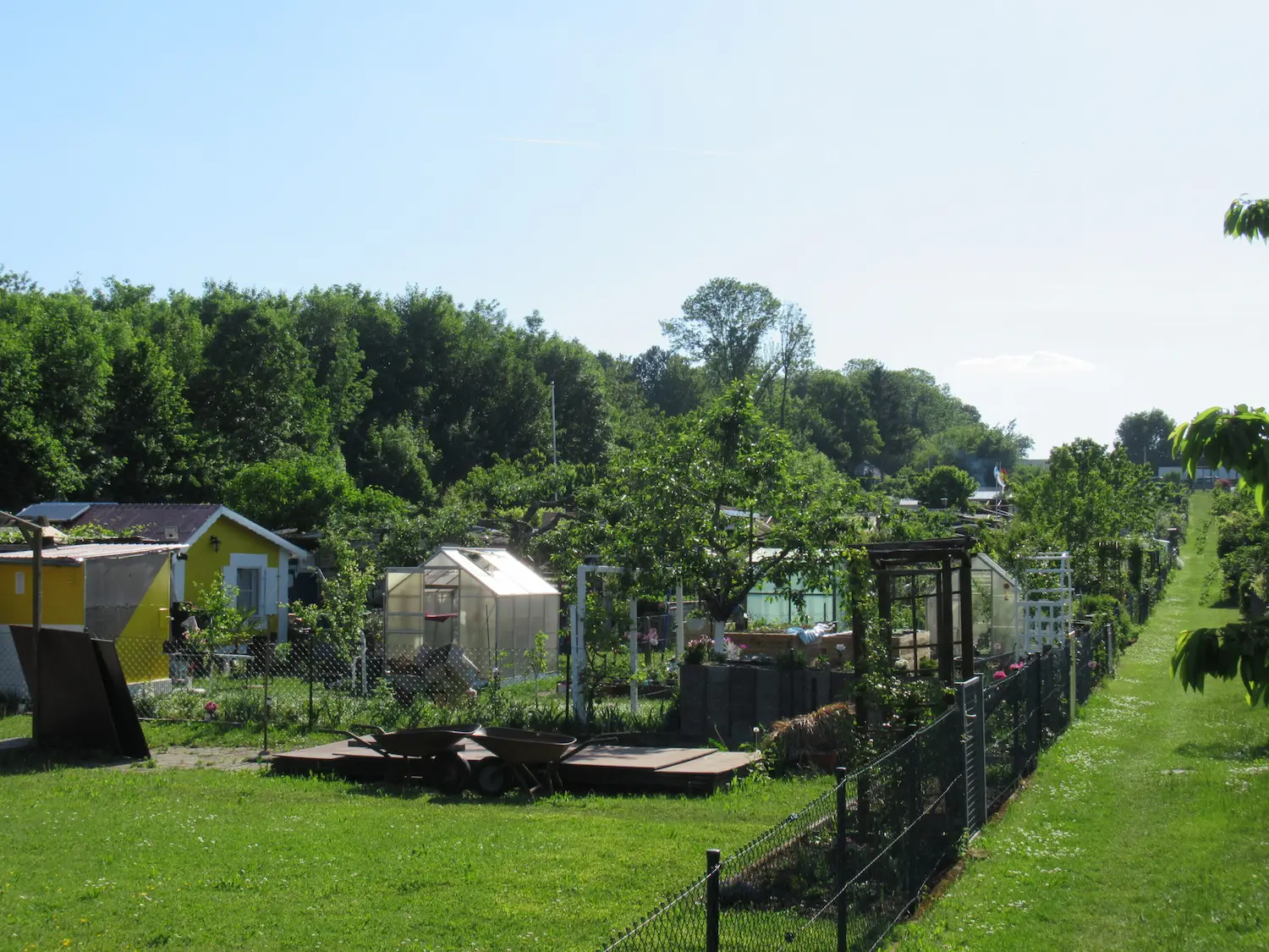 Kleingartenanlage mit Gärten und Gartenhäusern – Kleingarten-Service