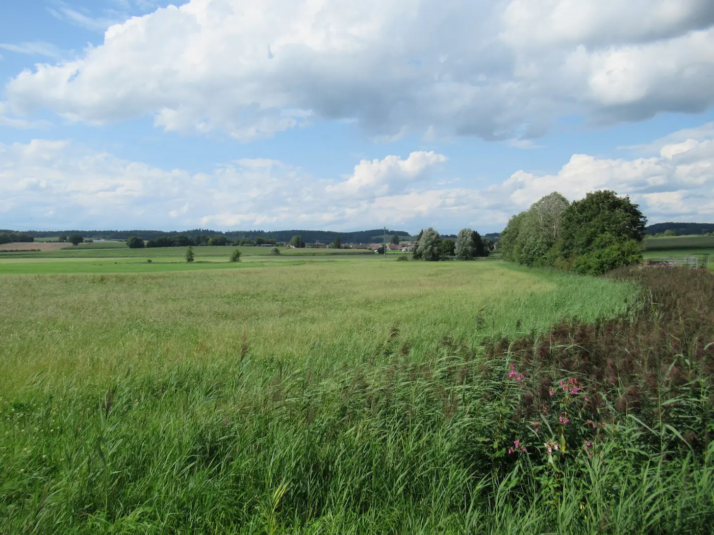 Grüne Wiesenparzelle zum Pachten – Kleingarten pachten | Kleingarten-Service